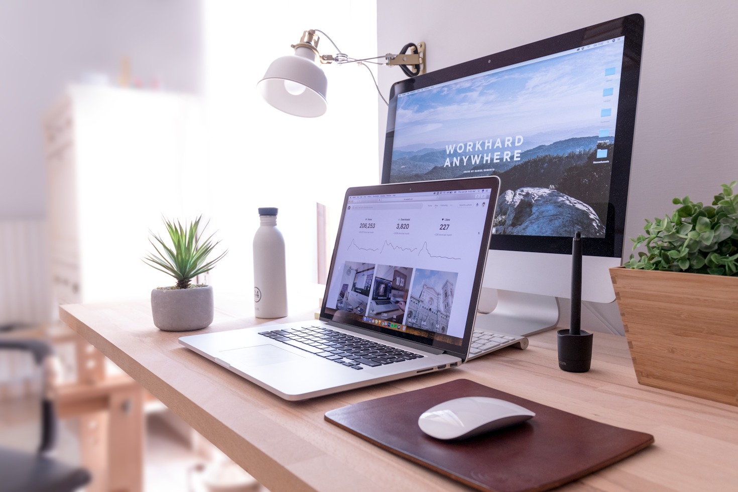 Unleashing Your Business Potential with Zephra Reach
